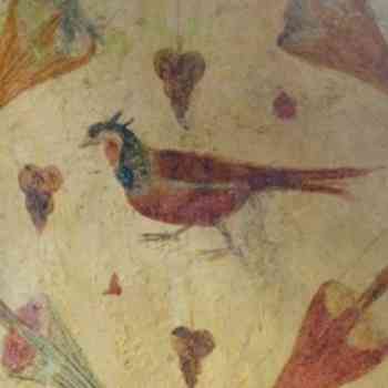 Click para ampliar. Pulsa en el nombre para ver la ficha. Faisán de Santa Eulalia de Bóveda . Lugo