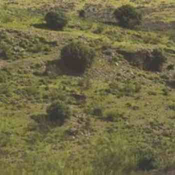 Click para ampliar. Pulsa en el nombre para ver la ficha. Alcántara 17: Castillejo de Villavieja