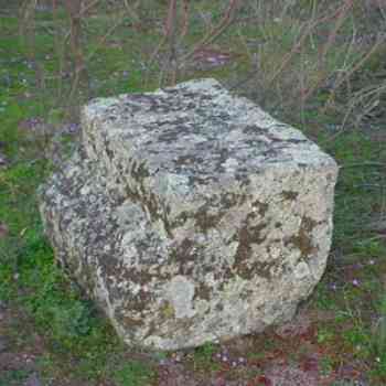 Click para ampliar. Pulsa en el nombre para ver la ficha. Cornisa de edificio en