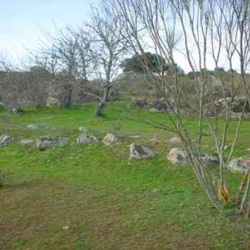 Click para ampliar. Pulsa en el nombre para ver la ficha. Paredes de