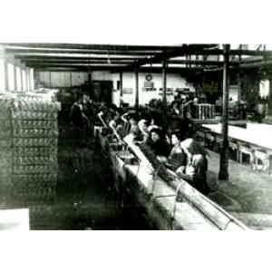 Click para ampliar. Pulsa en el nombre para ver la ficha. empacando sardinas