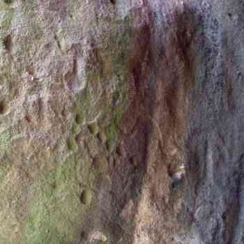 Click para ampliar. Pulsa en el nombre para ver la ficha. Cueva de  la Santa Cruz, cazoletas 5-Soria