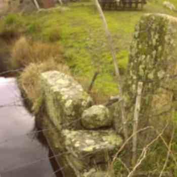 Click para ampliar. Pulsa en el nombre para ver la ficha. Laconimurgo 6: Presa