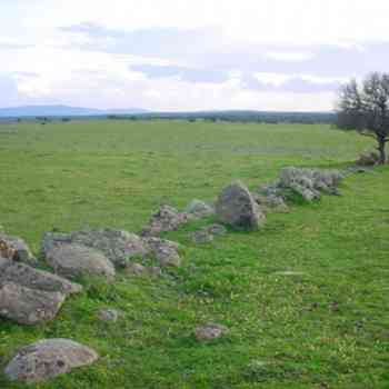 Click para ampliar. Pulsa en el nombre para ver la ficha. Paredes de