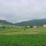 Click para ampliar. CABORCOS