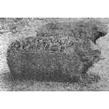 Click para ampliar. Pulsa en el nombre para ver la ficha. El oso y el jabalí