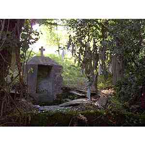 Fuente de San VItorio