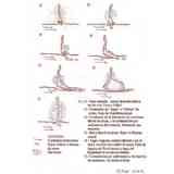 Click para ampliar. Pulsa en el nombre para ver la ficha. Tartesos. Fases en la dinámica Onubense