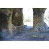 Click para ampliar. Pulsa en el nombre para ver la ficha. Ermita rupestre de San Vicente (Interior)